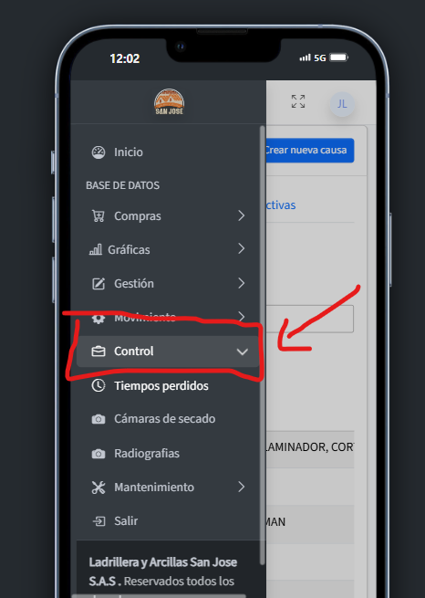 Opción gráficas
